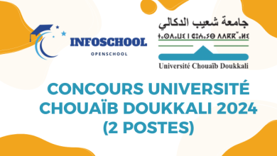 Concours Université Chouaïb Doukkali 2024 (2 Postes)