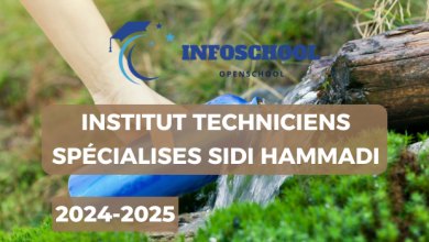 Institut Techniciens Spécialises Sidi Hammadi 2024