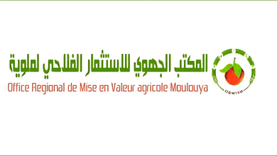 مباراة توظيف 20 منصب بالمكتب الجهوي للاستثمار الفلاحي لملوية - آخر أجل هو 21 يونيو 2024