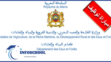 مباراة توظيف 15 منصب بوزارة الفلاحة قطاع الصيد البحري، الترشح قبل 28 فبراير 2025