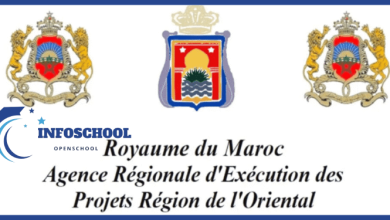 الوكالة الجهوية لتنفيذ المشاريع لجهة الشرق تنظم مباراة توظيف (2) مناصب، آخر أجل هو 26 دجنبر 2025