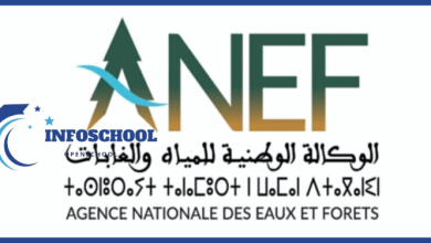 تعلن الوكالة الوطنية للمياه والغابات عن لمباراة توظيف 88 منصب بتخصصات مختلفة، آخر أجل هو 18 و24 نونبر 2025